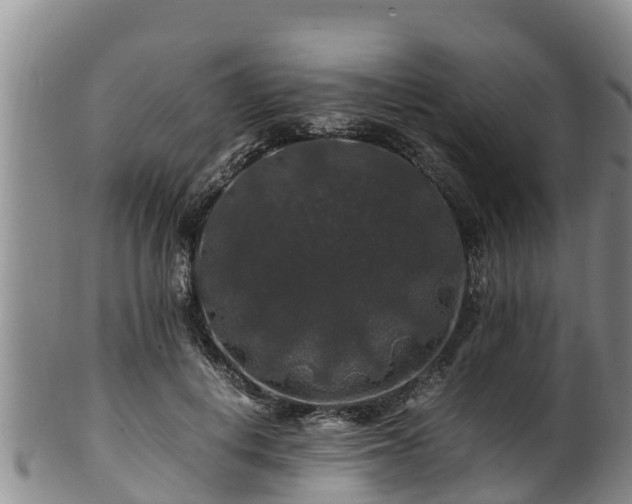 X0000100880648200806271139