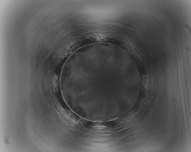 X0000100880650200806271139