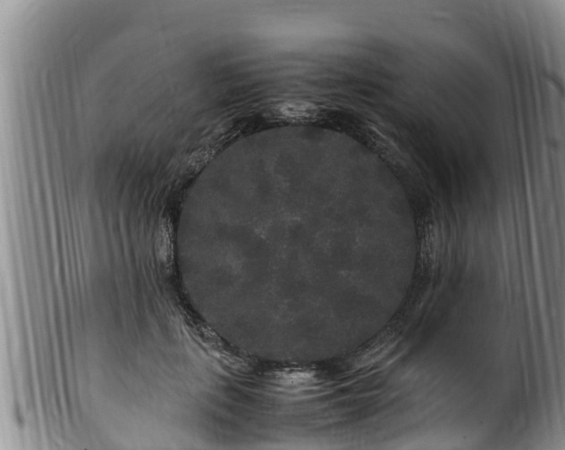 X0000100880651200806271139