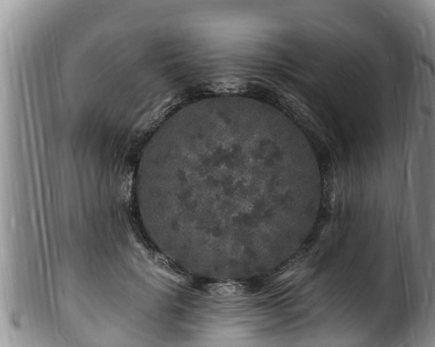 X0000100880652200806271139