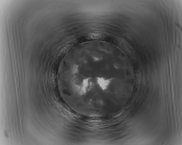 X0000100880653200806271139