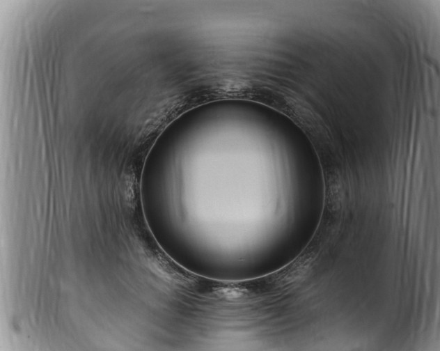 X0000100880654200806271139