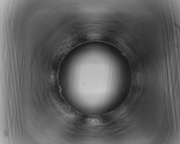 X0000100880655200806271139