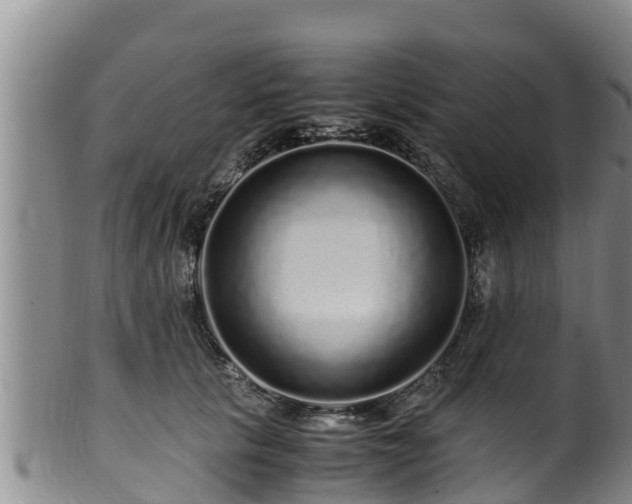 X0000100880657200806271139