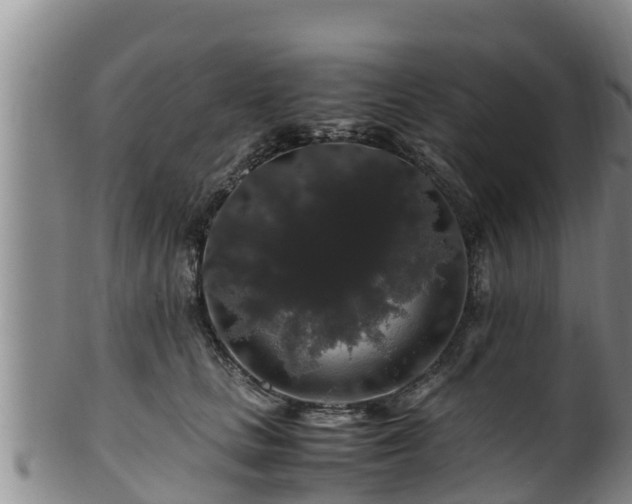 X0000100880661200806271139