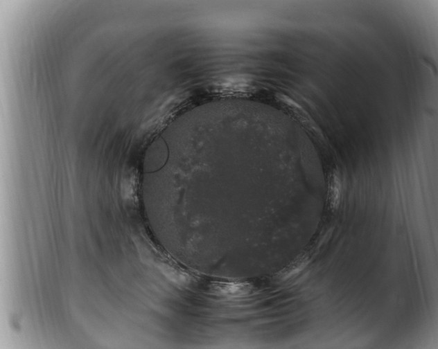 X0000100880663200806271139