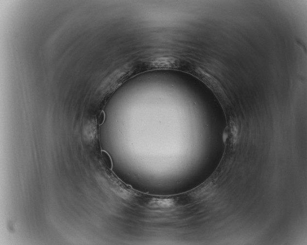 X0000100880665200806271139