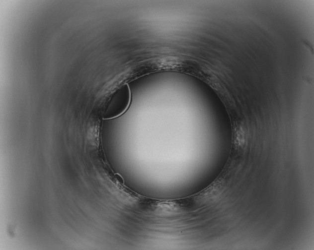 X0000100880666200806271139