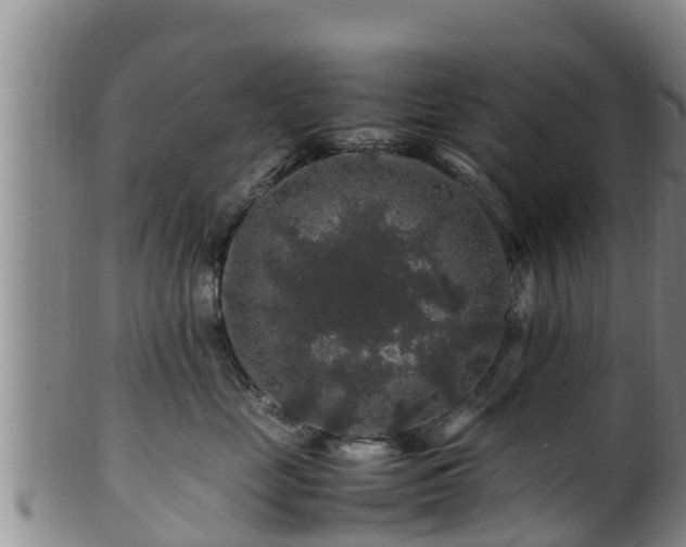 X0000100880669200806271139