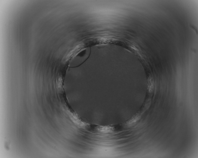 X0000100880670200806271139