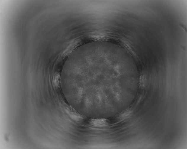 X0000100880671200806271139