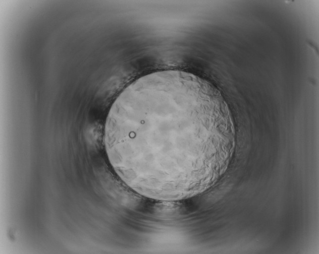 X0000100880672200806271139