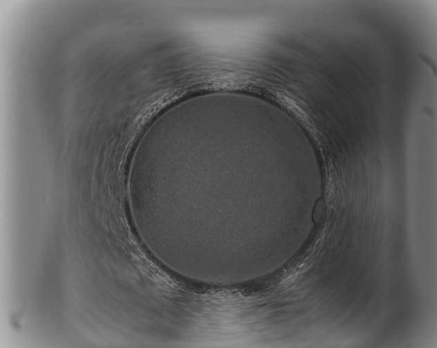 X0000100880673200806271138