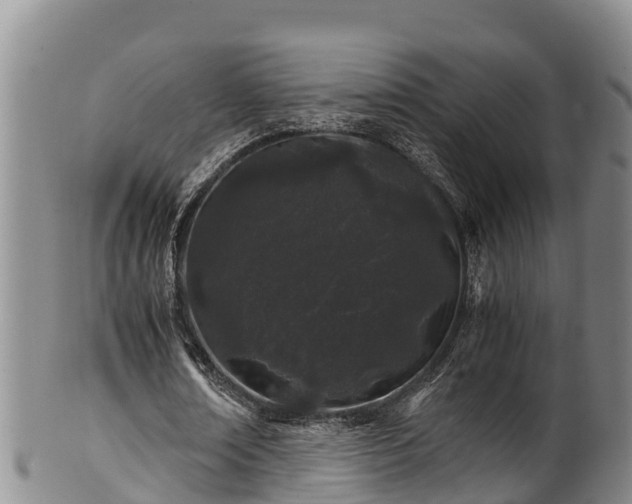 X0000100880674200806271138