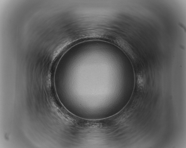 X0000100880676200806271138