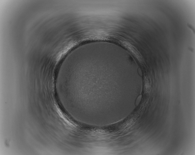 X0000100880677200806271138