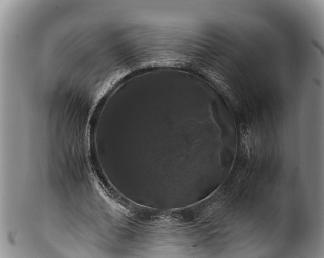 X0000100880678200806271138