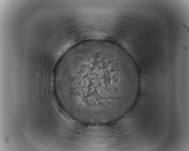 X0000100880679200806271138