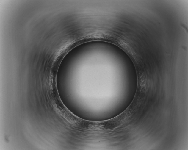 X0000100880680200806271138