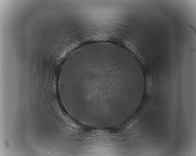 X0000100880681200806271138