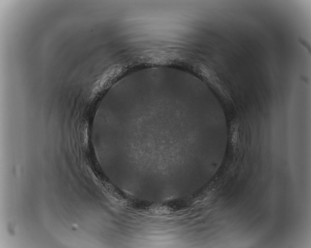 X0000100880685200806271138