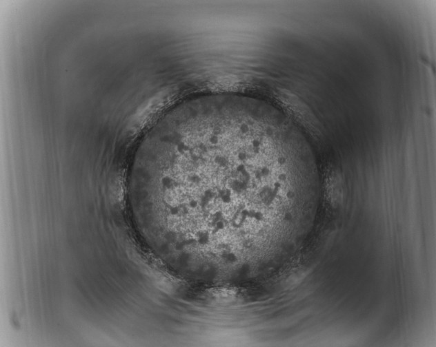 X0000100880687200806271138