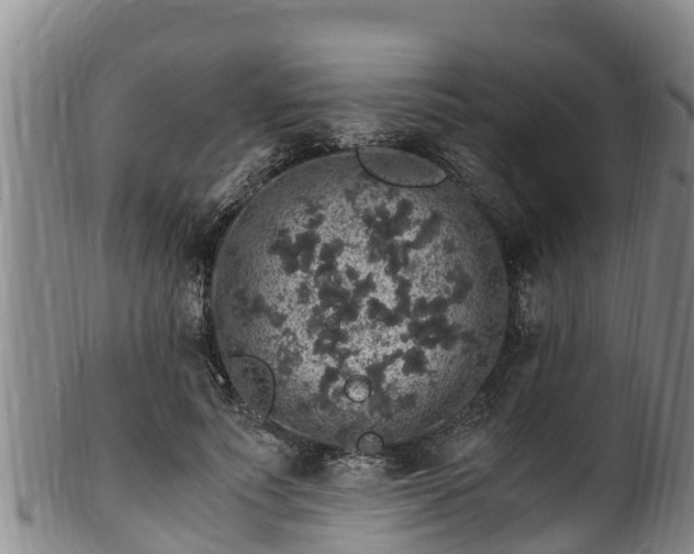 X0000100880691200806271138