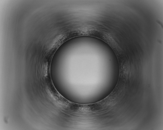 X0000100880694200806271138