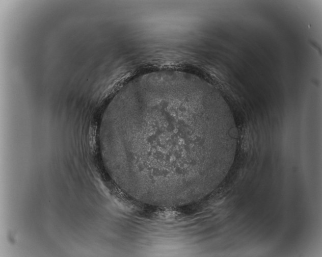 X0000100880695200806271138