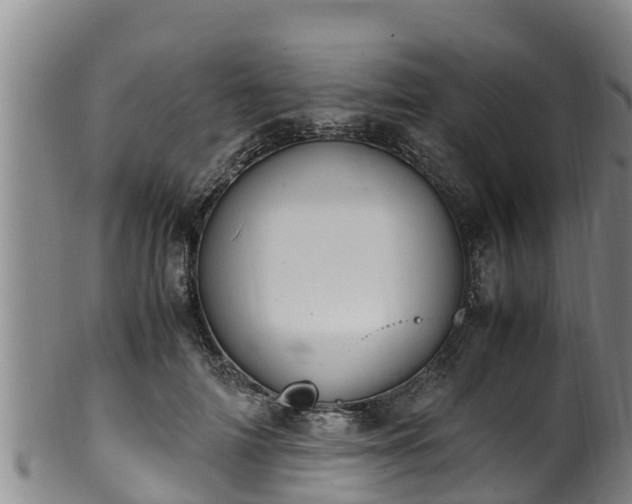 X0000100880698200806271138