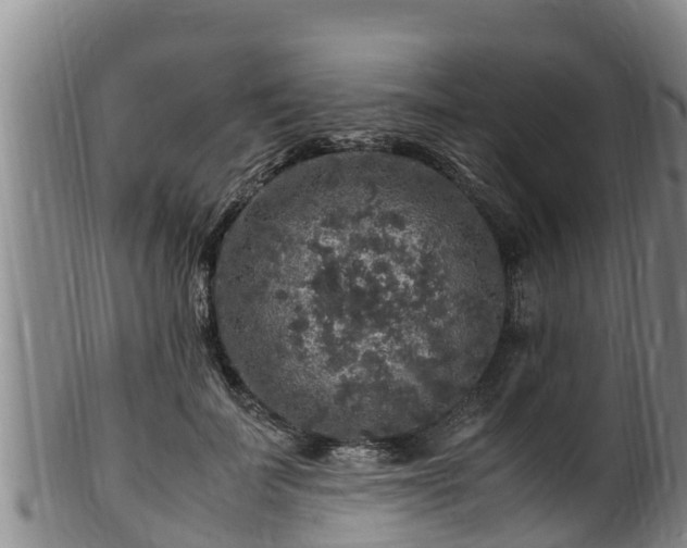 X0000100880699200806271138