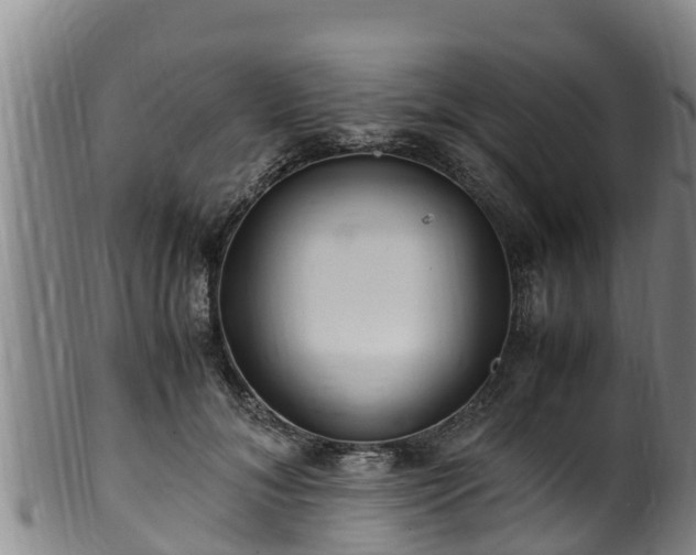 X0000100880700200806271138