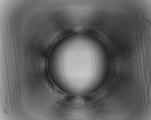 X0000100880702200806271138