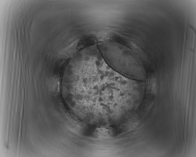 X0000100880703200806271138