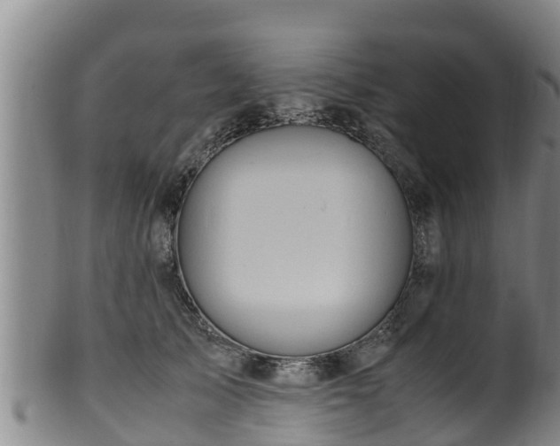 X0000100880705200806271138