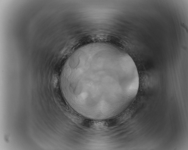 X0000100880709200806271138