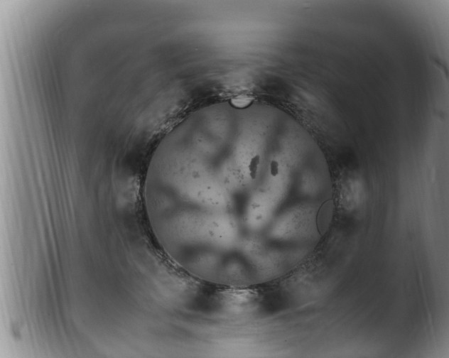 X0000100880711200806271138