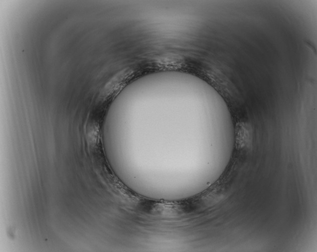 X0000100880713200806271138