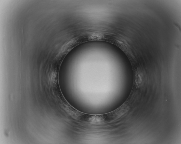 X0000100880714200806271138