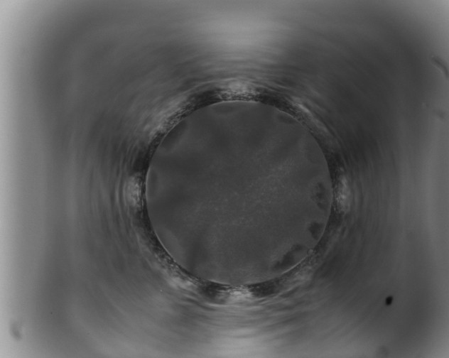 X0000100880715200806271138