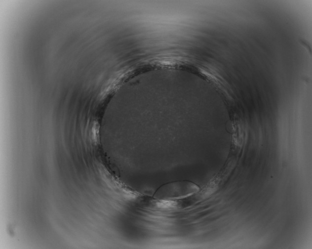 X0000100880718200806271138