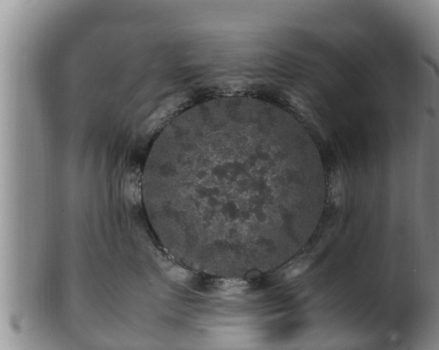 X0000100880719200806271138