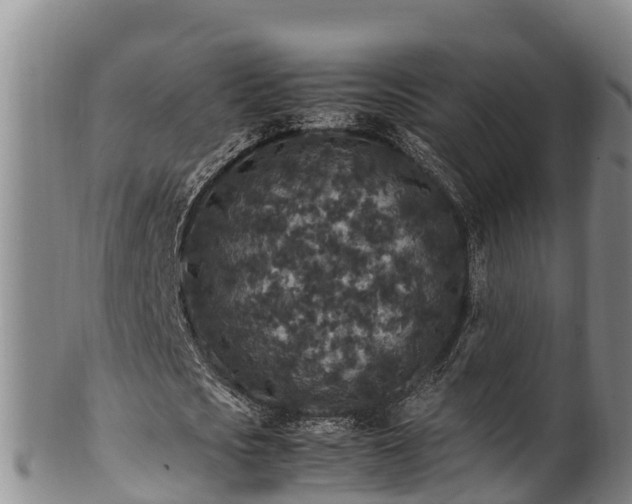 X0000100880721200806271136