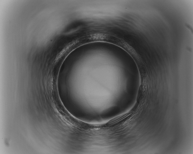 X0000100880722200806271136