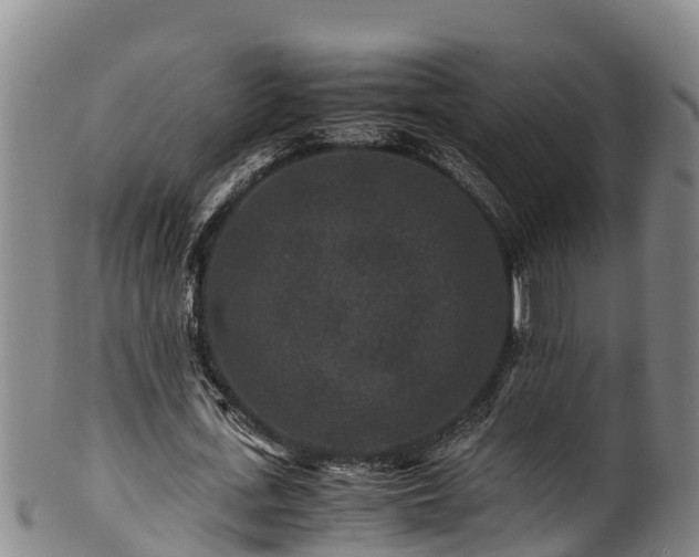 X0000100880723200806271136