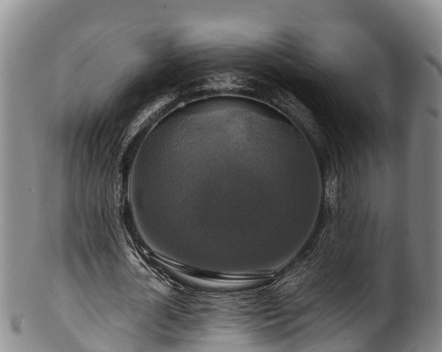 X0000100880724200806271136