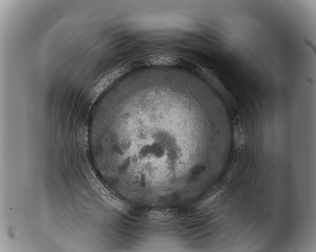 X0000100880725200806271136