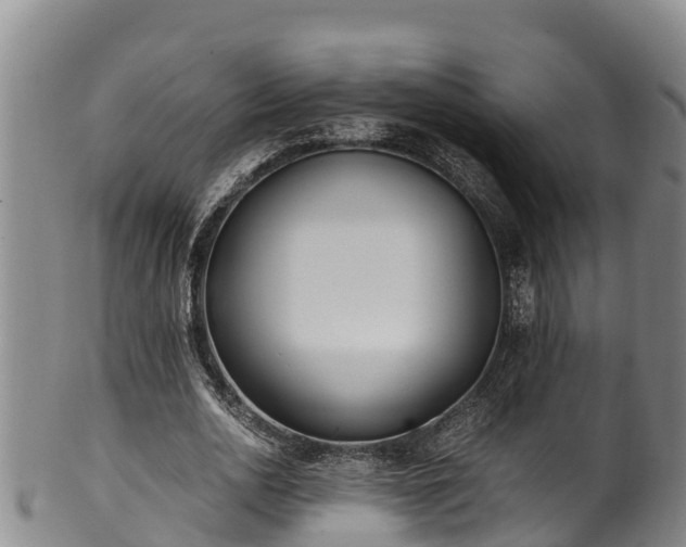 X0000100880726200806271136