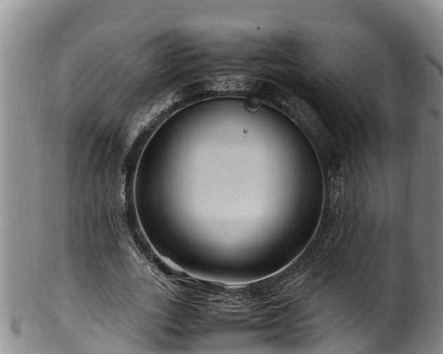 X0000100880727200806271136