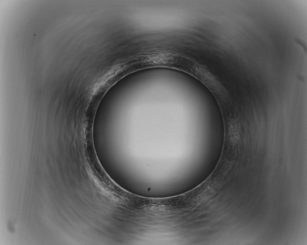 X0000100880730200806271137